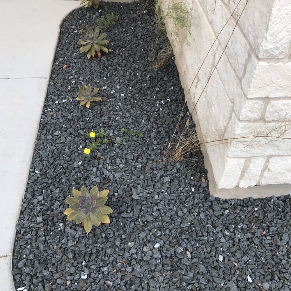 Red Agave - Front yard walkway bed - Landscaping Near Me Red Agave - Front yard walkway bed - Landscaping Near Me