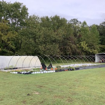Ferrara's Orchards - Greenhouse after summer - Pick Your Own Farms Near Me - Mullica Hill, New Jersey Ferrara's Orchards - Greenhouse after summer - Pick Your Own Farms Near Me - Mullica Hill, New Jersey