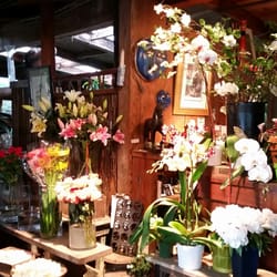 Las Baulines Nursery