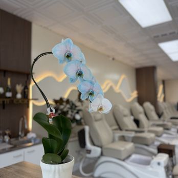 Shape Nail Lounge - Nail Salons Near Me - Harrisburg, North Carolina Shape Nail Lounge - Nail Salons Near Me - Harrisburg, North Carolina
