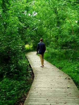 Blue Heron Nature Preserve by null