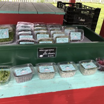 White Lotus Farms - Farmers Market Near Me - Ann Arbor, Michigan White Lotus Farms - Farmers Market Near Me - Ann Arbor, Michigan