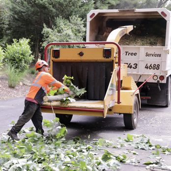Green Tree Services - Tree Services Near Me - Warrenton, Virginia Green Tree Services - Tree Services Near Me - Warrenton, Virginia