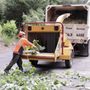 Photo of Green Tree Services