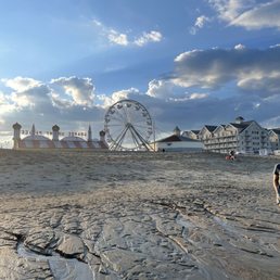Amusement park from beach Amusement park from beach