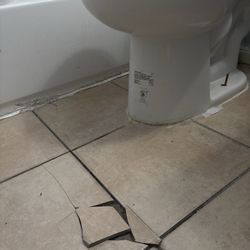 Regency Management - Cracked and broken tiles loose screw to the toilet