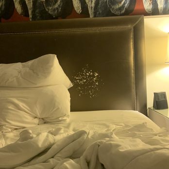 Hotel Tonnelle - Headboard - Hotels Near Me - New Orleans, Louisiana