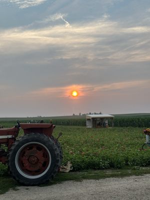 Bloomsbury Farm by null
