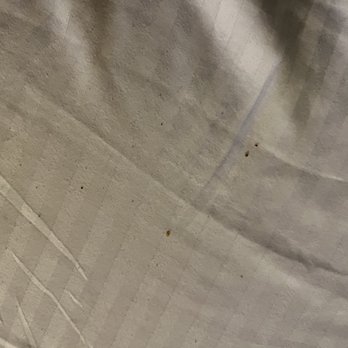 Clown Motel - Sheets on the bed! - Hotels Near Me - Tonopah, Nevada