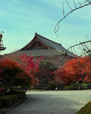 To-ji Temple by null