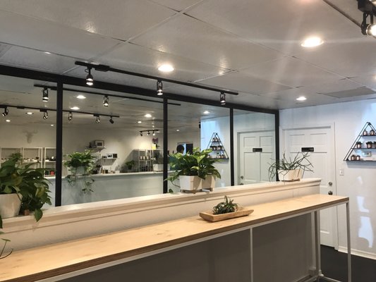 Paloma Parlor by null