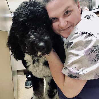 Vca Irvine Boulevard Animal Hospital 73 Photos 161 Reviews Veterinarians 4840 Irvine Blvd Irvine Ca Phone Number