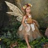 Fairy Portrait Studios gift card