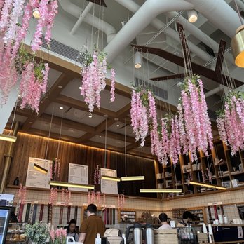Commonwealth Joe - Cafes Near Me - Arlington, Virginia