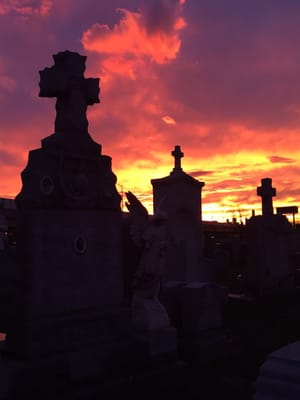 Calvary Cemetery by null