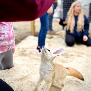 Parkton Animal Oasis - Petting Zoos Near Me - Parkton, North Carolina