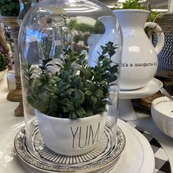 Homeology - Cute idea for succulents!!!