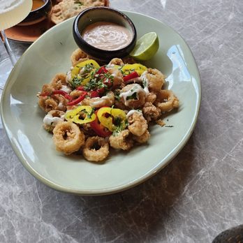 GAIA Supperclub - Calamari - Greek Near Me - Washington, DC, District of Columbia GAIA Supperclub - Calamari - Greek Near Me - Washington, DC, District of Columbia