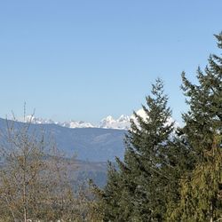 Little Mountain Park - Mt. Rainier from the North Viewpoint