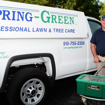 SpringGreen - Tree Services Near Me