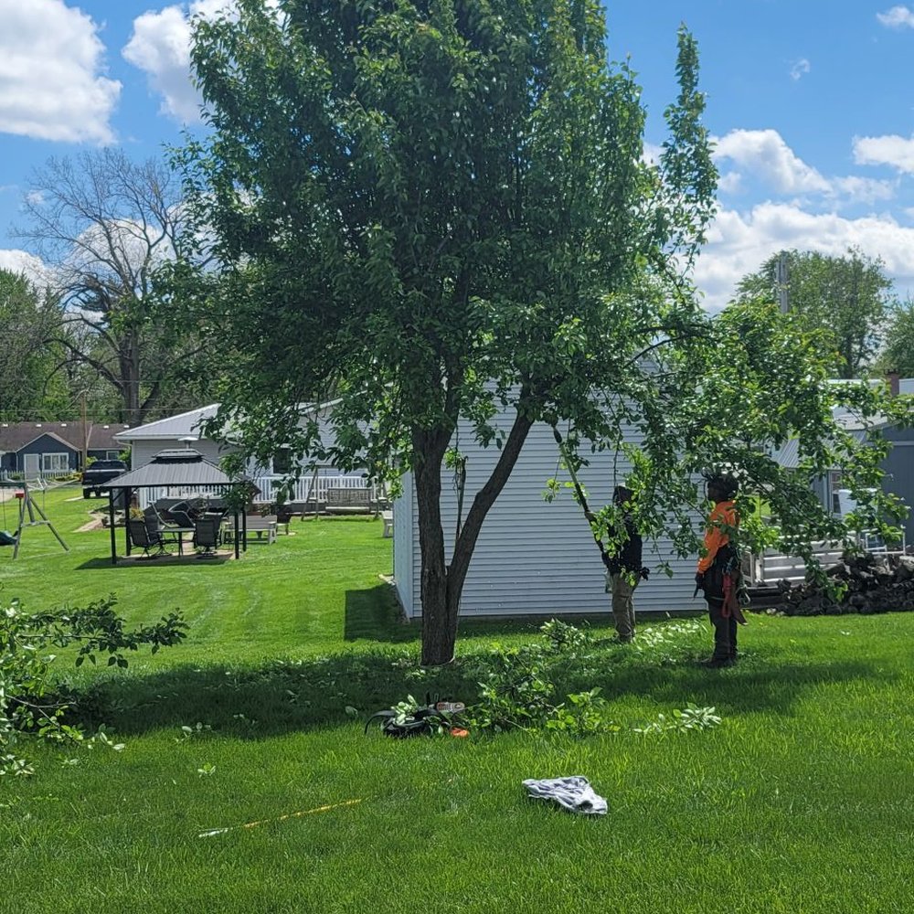 R & T Tree Experts - Tree Services Near Me - Fort Wayne, Indiana R & T Tree Experts - Tree Services Near Me - Fort Wayne, Indiana
