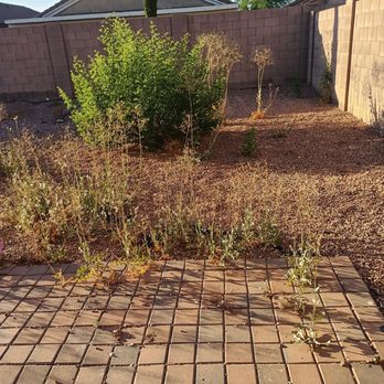 Paseo Hardscapes - Before take 1 - Landscaping Near Me - Peoria, Arizona