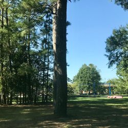 Swing sets & trees for stage