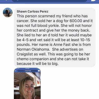Oklahoma Yorkies - Pet Breeders Near Me Oklahoma Yorkies - Pet Breeders Near Me