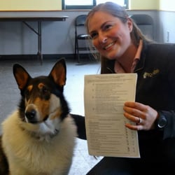 Doggonit Training