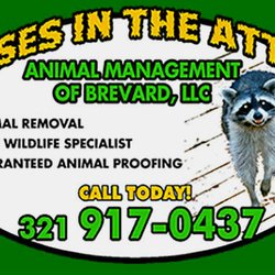 Animal Management of Brevard