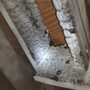 Photo of Tom's Handyman Service and Remodels