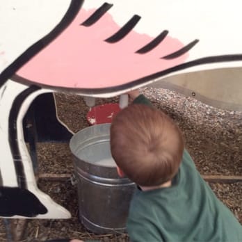 Hoffman's Dairy Garden - Milking the cow. - Ranches Near Me - Canby, Oregon Hoffman's Dairy Garden - Milking the cow. - Ranches Near Me - Canby, Oregon