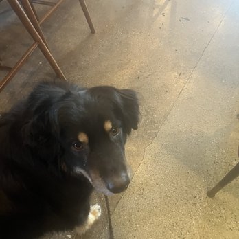 Bun & Blanket - Wallace - Burgers Near Me - Glendale, California