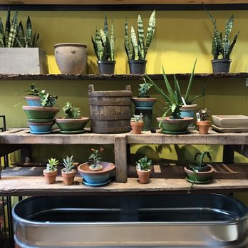 City Planter - Nurseries & Gardening Near Me - Philadelphia, Pennsylvania City Planter - Nurseries & Gardening Near Me - Philadelphia, Pennsylvania
