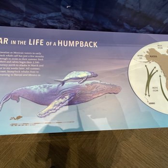 Alaska Public Lands Center - Visitor Centers Near Me - Anchorage, Alaska