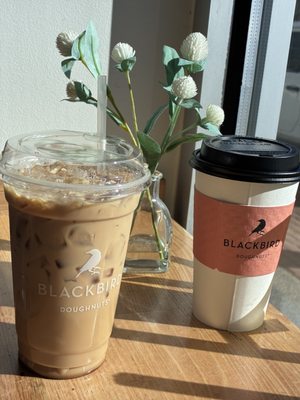 Blackbird Doughnuts Newton Centre by null