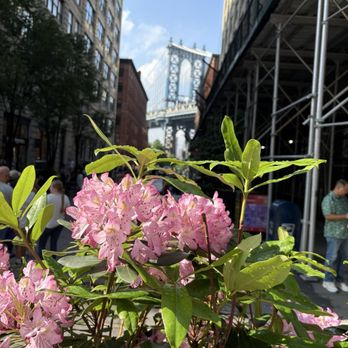 Dumbo - Landmarks & Historical Buildings Near Me