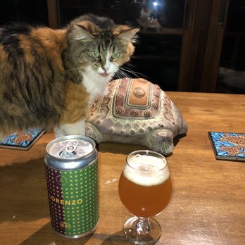 Back Channel Brewing - Drinking my Lorenzo triple IPA Crowler at home with Sophie after boating - Breweries Near Me - Spring Park, Minnesota