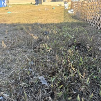 Canine Pooper Troopers - Pet Waste Removal Near Me - Temple, Texas Canine Pooper Troopers - Pet Waste Removal Near Me - Temple, Texas