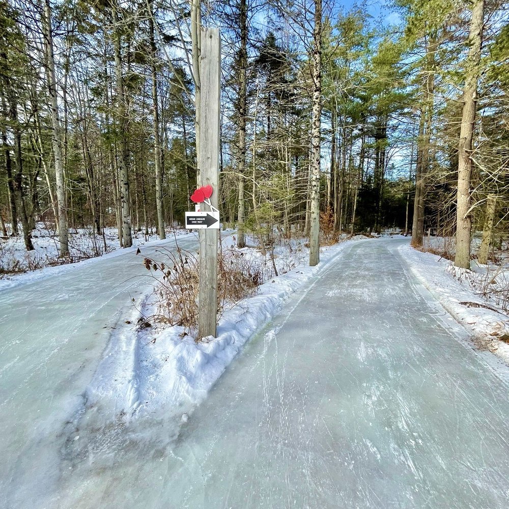Patinage En Foret - Simply breathtaking - Skating Rinks Near Me - Lac-des-Loups, Quebec Patinage En Foret - Simply breathtaking - Skating Rinks Near Me - Lac-des-Loups, Quebec