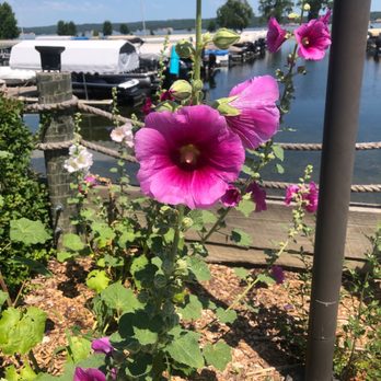 Weigand Marina - Amateur Sports Teams Near Me - Crofton, Nebraska