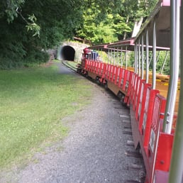 The train