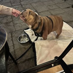 Lake Bomoseen Lodge and Taproom - Exceeded his discerning standards!