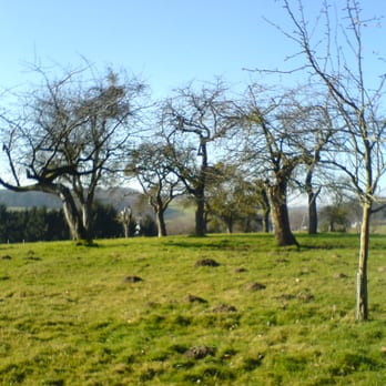 Der Mistelweg - Midwives Near Me - Unna, NW