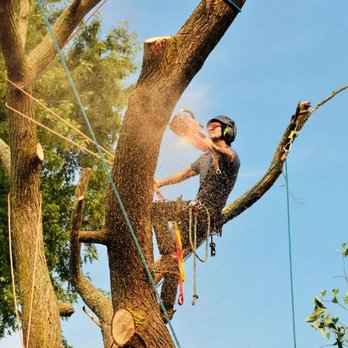 West Coast Tree Co. - Tree Services Near Me - Thousand Oaks, California West Coast Tree Co. - Tree Services Near Me - Thousand Oaks, California
