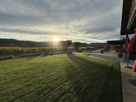 Comstock Wines by null