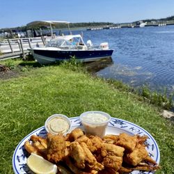 Cattails Cove