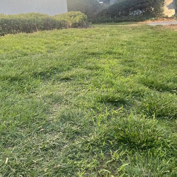 Gothic Landscape - Good example of the uneven cutting - Landscaping Near Me - Riverside, California Gothic Landscape - Good example of the uneven cutting - Landscaping Near Me - Riverside, California