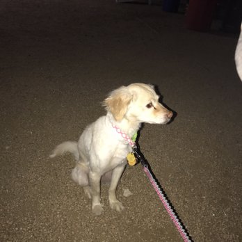 Axelrad - Zoey was looking to make new friends - Beer Gardens Near Me - Houston, Texas