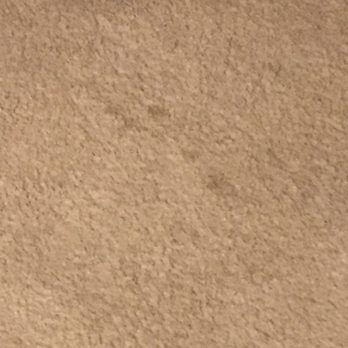 Clean Carpet Rx - Home Cleaning Near Me Clean Carpet Rx - Home Cleaning Near Me